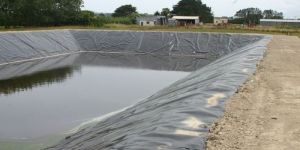 Pond Construction Services
