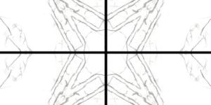 Tringle White Bookmatch Collection GVT-PGVT Vitrified Tile