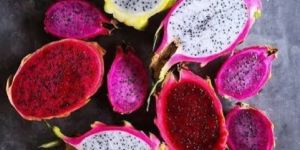 Dragon Fruit