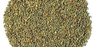 Millet Seeds