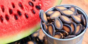 Watermelon Seeds