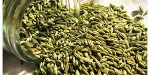 Fennel Seeds
