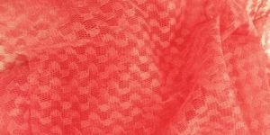 Fancy Net Fabric