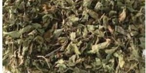 Dried Tulsi Leaves