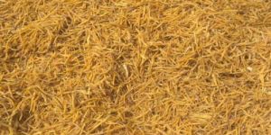 Shatavari Root Powder