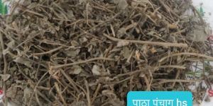Patha Panchang (Cissampelos Pareira Whole Plant)