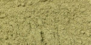 Mullein Leaf Extract