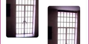 Standard Steel Window