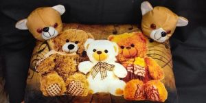 Teddy Bear Stuffed Pillow