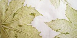 Leaf Impression Handmade Paper