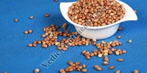 Roasted Groundnuts