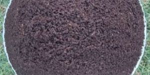 Vermicompost Organic Fertilizer