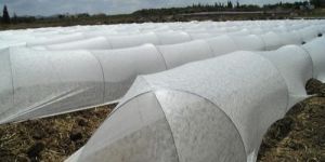 Agriculture Non Woven Fabric