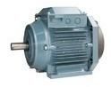 Electric Motor Bearing