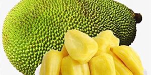 Fresh Jackfruit