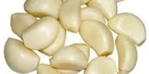 Fresh Peeled Garlic