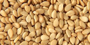 Organic Sesame Seeds
