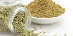 Fennel Powder