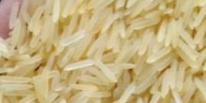 1121 Basmati Golden Sella Rice