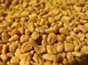 Fenugreek Seeds