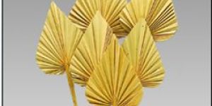 Palm Spear