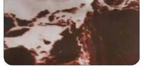 Marvel Series Aluminium Composite Panel