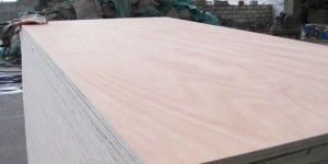 Okoume Plywood