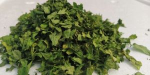 Dried Celery Leaves