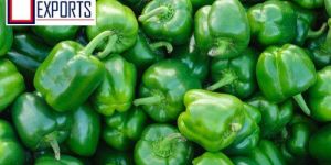 Organic Capsicum