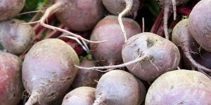 Fresh Beetroot