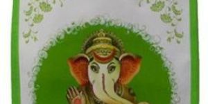 Non Woven Loop Handle Bags