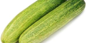 Fresh Cucumber