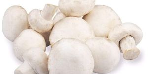 Fresh Mushroom