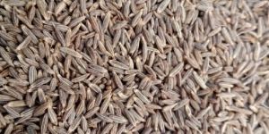 Cumin Seeds
