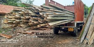 Split Bamboo Poles