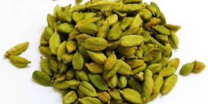 Green Cardamom