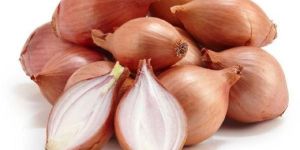 Fresh Shallot Onion