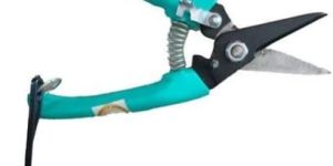 Pruning Shear