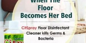Floor Disinfectant and Shiner