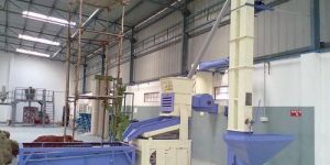 Pulses Cleaning Machine