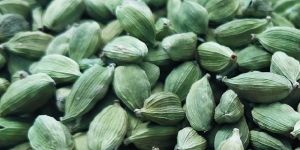 Green Cardamom