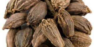 Black Cardamom