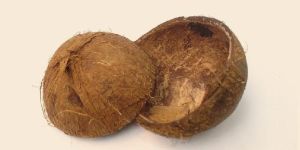 Coconut Shell Chips,