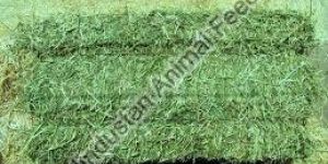 Alfalfa Hay