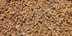 Camel Breeder Feed