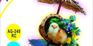 240GSM GAMIS Inkjet Glossy Paper