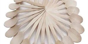 Biodegradable Wooden Spoons