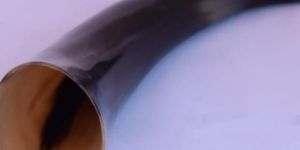 500 ML Drinking Horn