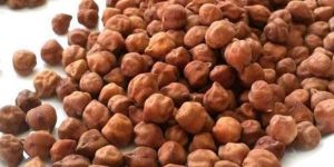 Black Chickpeas