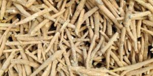 Ashwagandha Roots